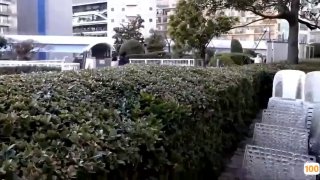 柳岩性感照片大全图片⭕❌❌绝地求生之美女直播室